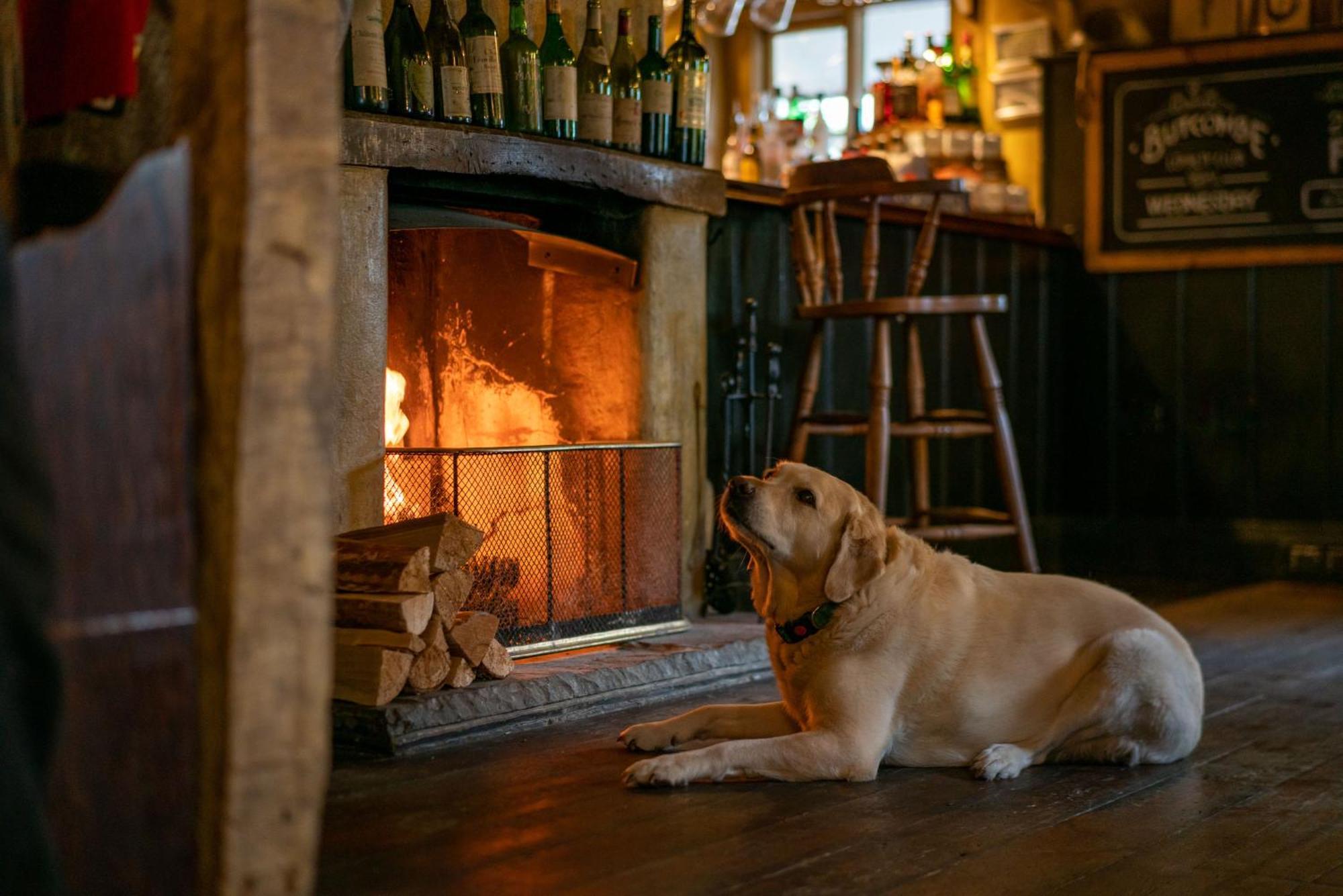 The Anchor Inn Lower Froyle Экстерьер фото