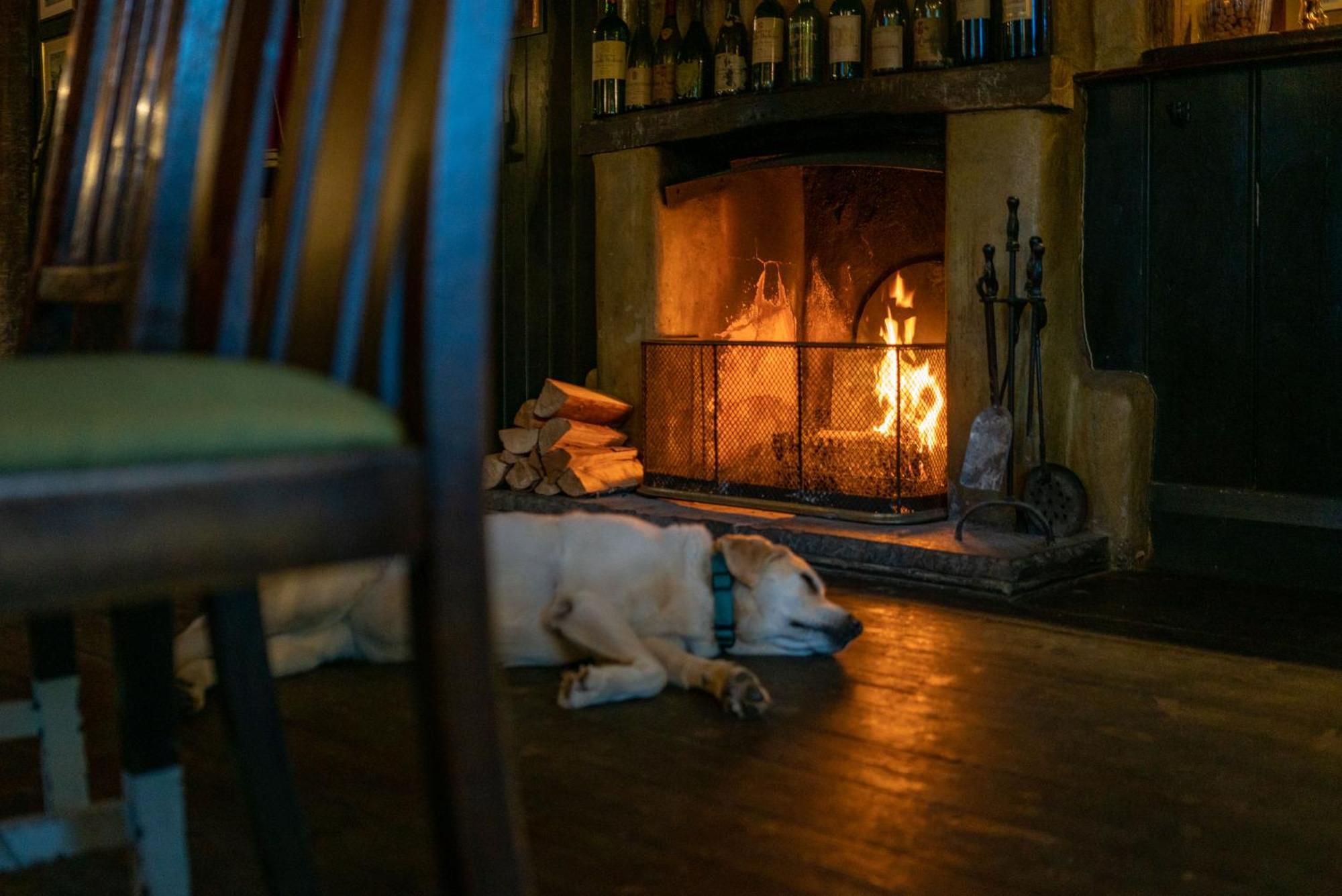 The Anchor Inn Lower Froyle Экстерьер фото